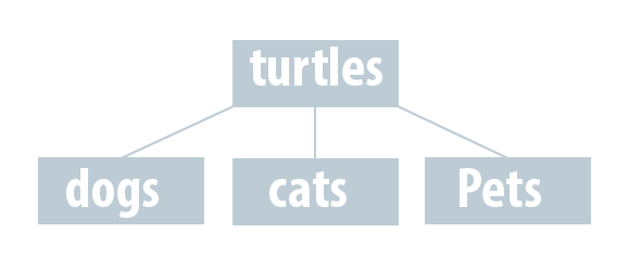 example of an unclear hierarchy: TURTLES dogs / cats / pets